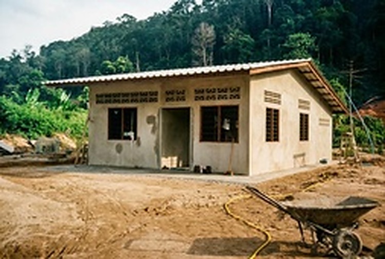 和平村新建成的水泥粉刷平房：门前摆放着施工独轮手推车，屋后则是郁郁葱葱的热带雨林。