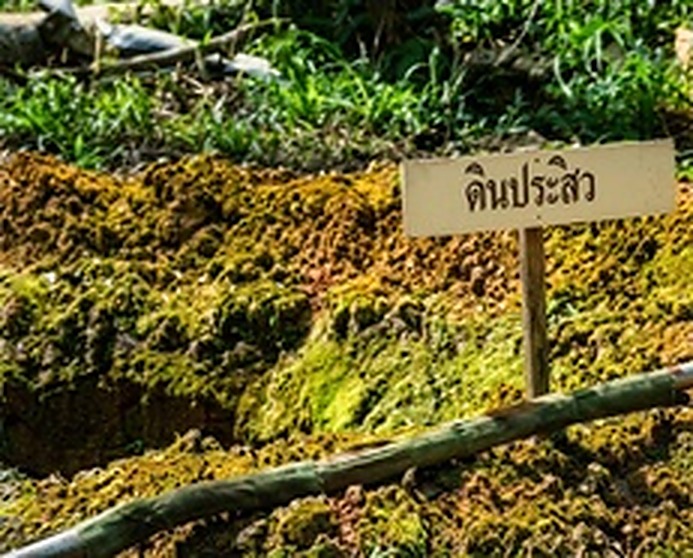 销毁场旁竖立的泰文警示木牌“ดินประสิว”（意为火药/硝石爆破区），标示此处为集中销毁军火与炸药的安全作业点。